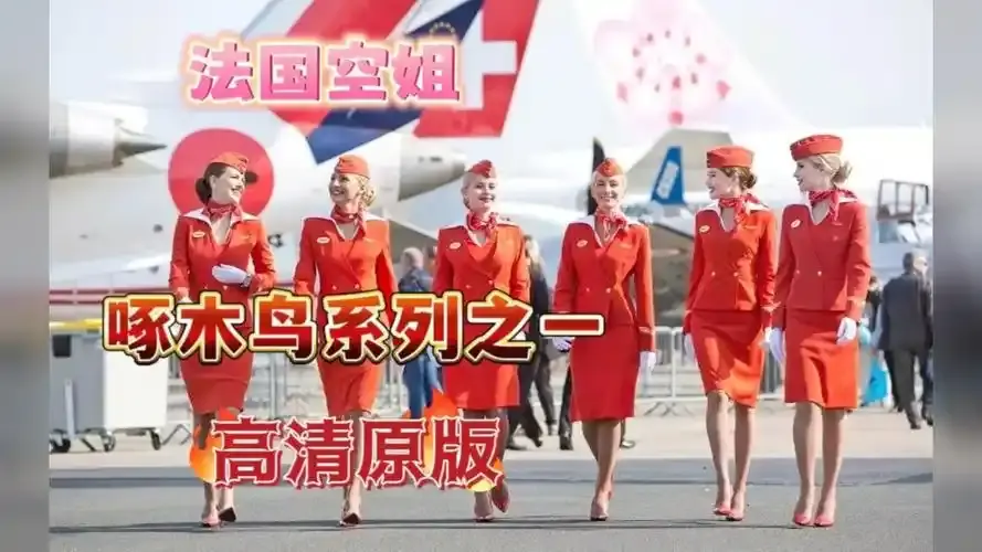 《法国空姐4》免费观看资源下载-法国空姐4超高清完整版-法国空姐2019满天星法版全季-法国空姐1-3季4K高清