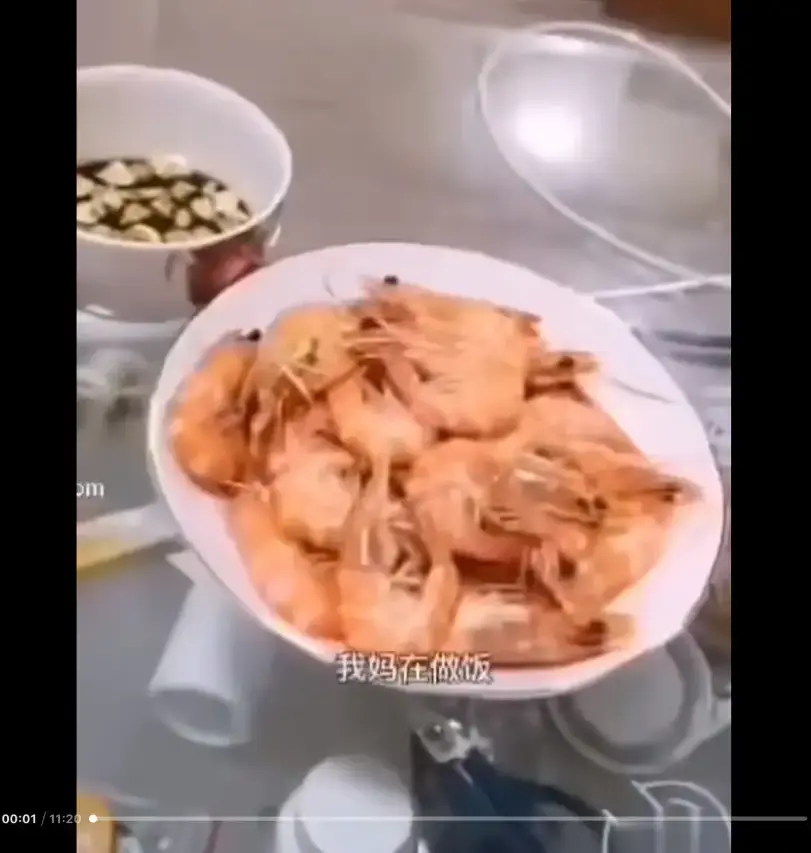 《大虾母子厨房完整版》高清视频在线观看 - 猎奇视频来龙去脉一看就懂 - 免费网盘资源合集