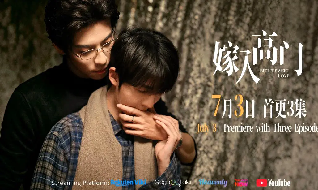 《嫁入高门的男人》22集全集高清免费在线观看-2026新剧《嫁入高门的男人/嫁入高门/高嫁》双男主完整版无广告观看-嫁入高门的男人星空影院VS影视