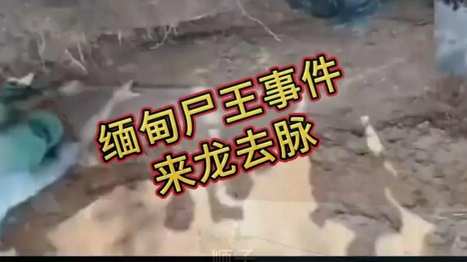 《缅甸僵尸出土事件视频》完整版资源下载 - 缅甸僵尸出土事件视频在线观看免费播放无广告 - 超清未删减全程录像高清下载